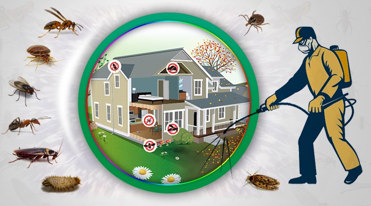 Eskifoça Böcek İlaçlama